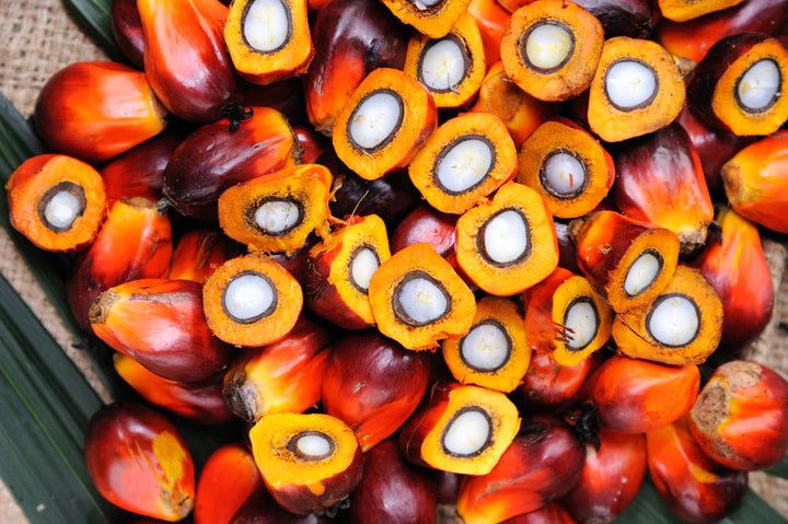 batana oil for hair growth picture