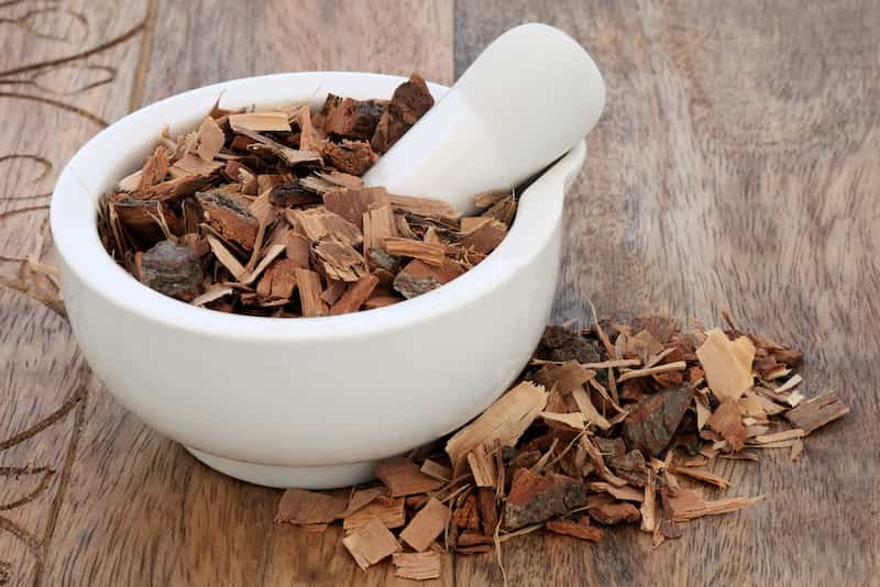 Does Saw Palmetto Fight Hair Thinning?