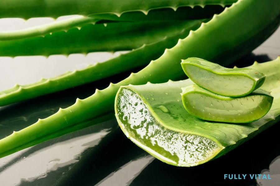 Aloe Vera: Natural Remedy for Hair and Scalp Care