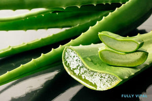 Aloe Vera: Natural Remedy for Hair and Scalp Care