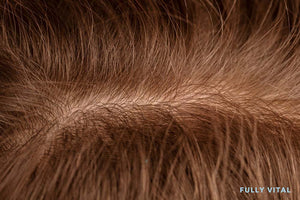 Anagen Phase: Understanding Hair Growth's Active Stage For Longer, Healthier Hair