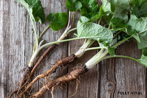 Burdock Root: Ancient Secret for Modern Hair Health