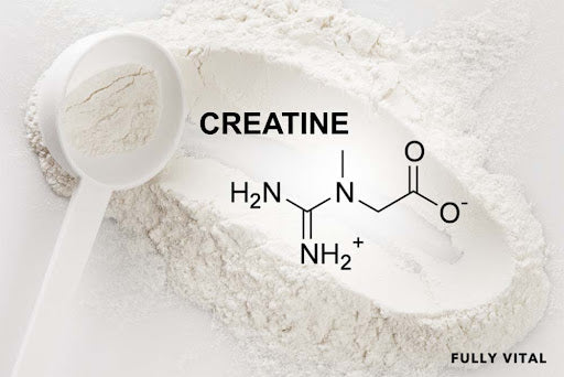 Creatine And Hair Loss: Separating Fact From Fiction