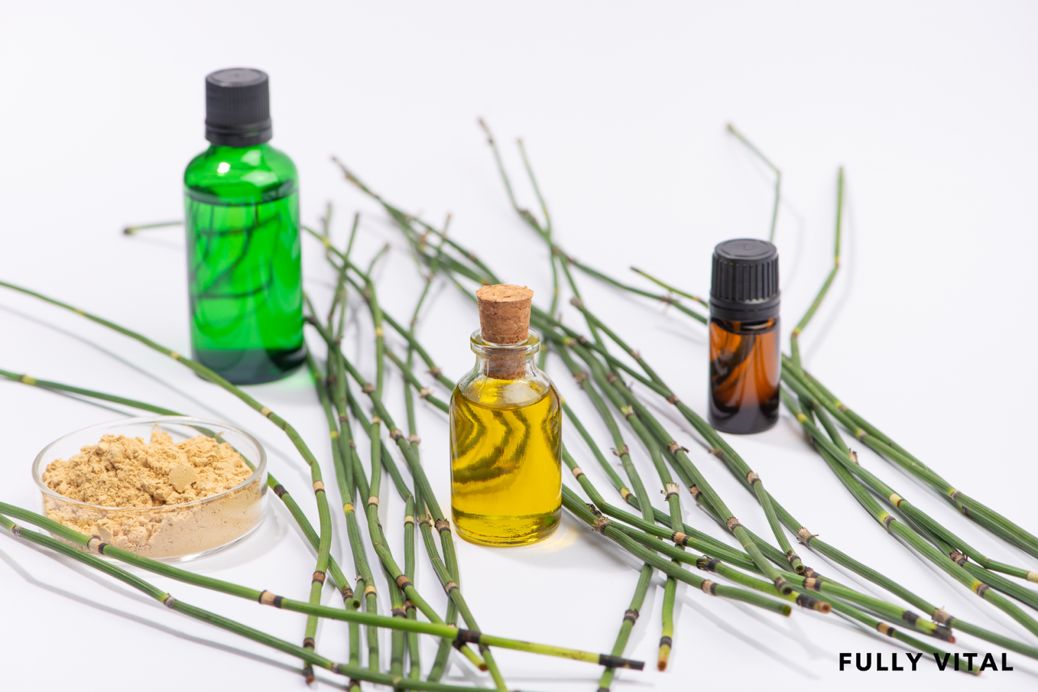 Horsetail Extract Ancient Herb For Modern Hair Health FullyVital