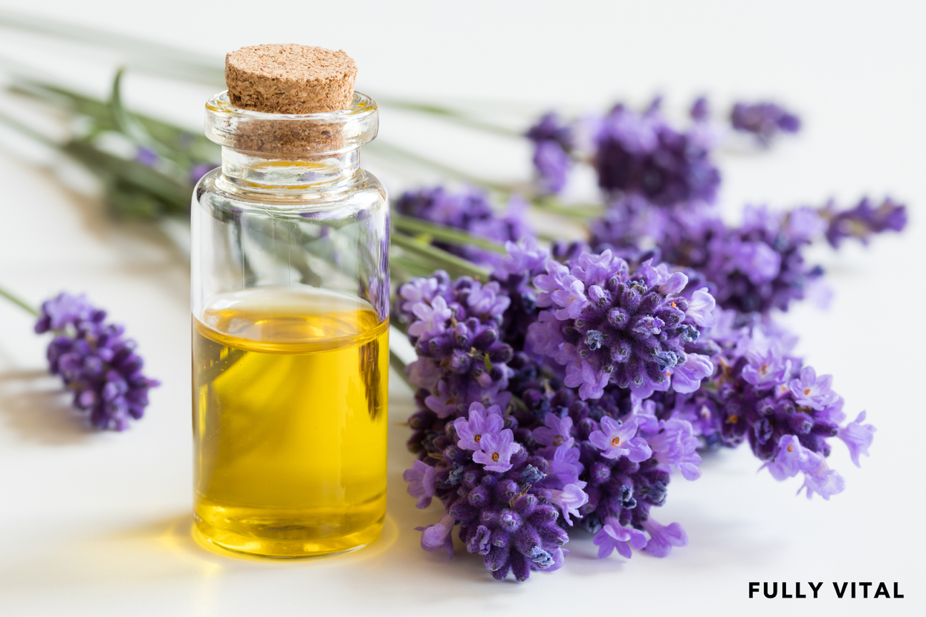 Lavender Oil: Soothing Scalps For Better Hair Growth | FullyVital