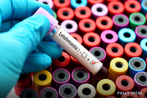 Mucocutaneous Leishmaniasis: Unveiling The Basics