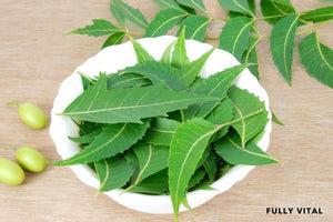 Neem: The Green Guardian of Hair Health