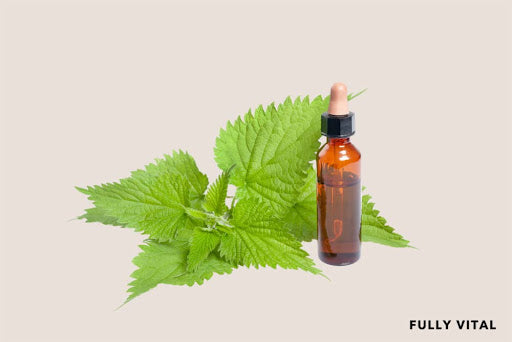 Nettle Extract: A Powerful Ingredient For Hair Growth