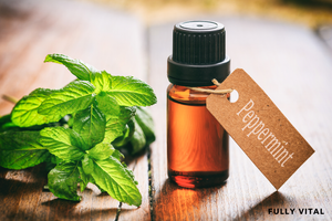 Peppermint Oil: Tingling Towards Healthier Hair