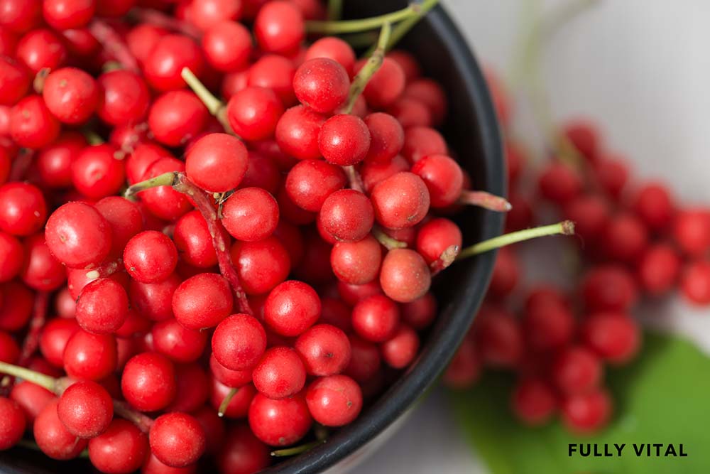 Schisandra For Healthy Health FullyVital