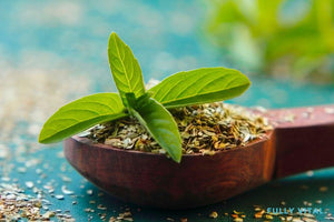 Tulsi: Holy Herb for Holistic Hair Health