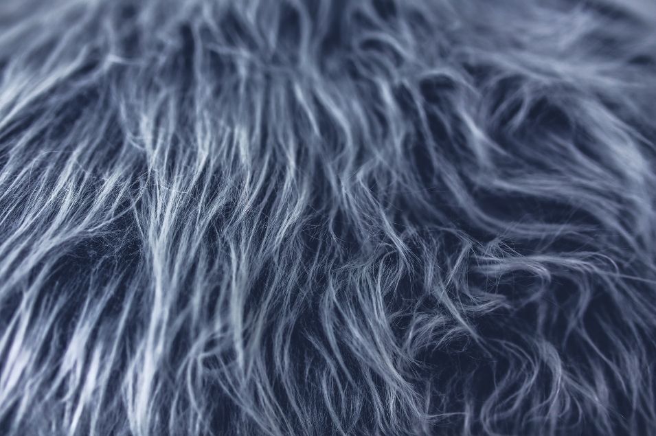 Gray Hair Research: What Peer-Reviewed Studies Actually Show