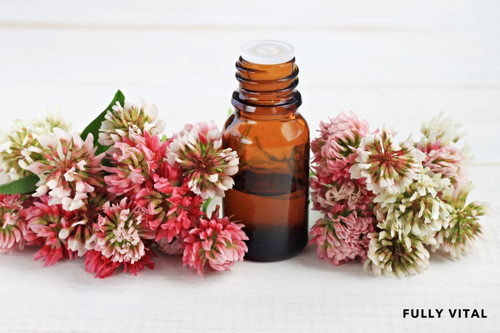 Fighting Hair Loss With Red Clover Extract: What You Need To Know