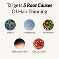 Enhance Hair Supplements (3-Pack)