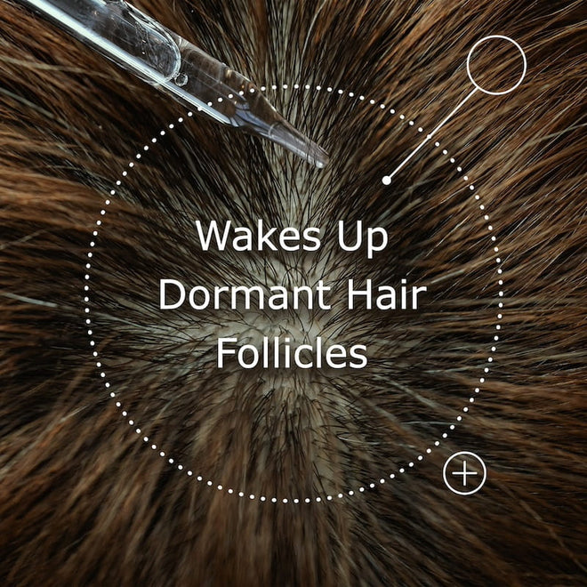 Luscious Hair 90-Day System